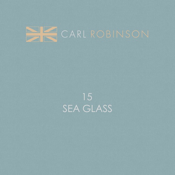Carl Robinson 15