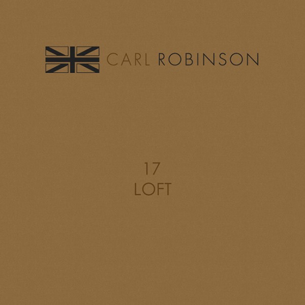 Carl Robinson 17