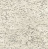 SG41808