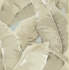 JB50702