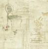 DL20704