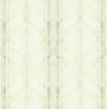 DL20404