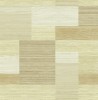 CR40205