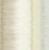 CR41007