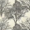 CR41200