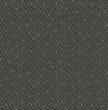 BW20300