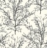 BW22400