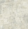 RN71300