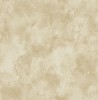 ST000915