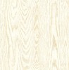 IR51305