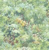 FI70703