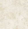 DS61905