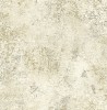 DS61908