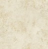 DS61906
