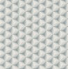DS61802