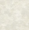 MS91205