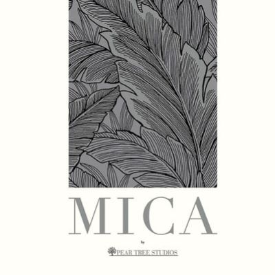 MICA_CVR_SMALL