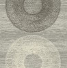 CR60410