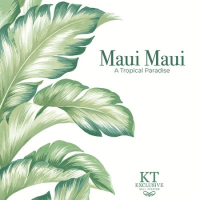 MAUI_CVR_SMALL