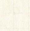 AI42101