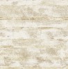 MW31705