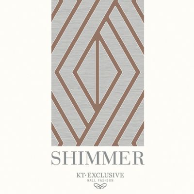 SHIMMER_CVR_SMALL