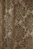 CLAIRBEIGE