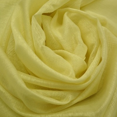 ELEGIA 3
