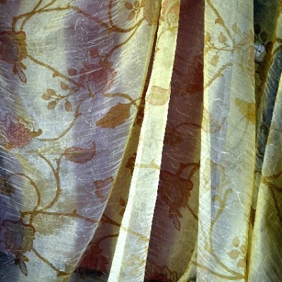 EXOTIC GIALINO