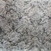 DORIO01