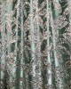GLASGOWTURQUOISE