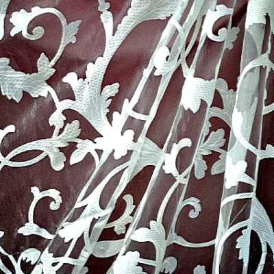 ACANTHUS CREMA