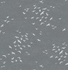 BL70408