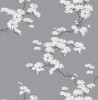 BL70508