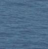 BL71322