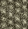 CB91507