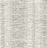 BW60106