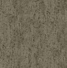 BW60206