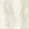 LW50905