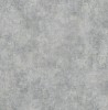 BW56208
