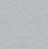 AD9811