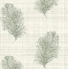 CL21504