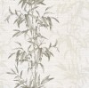 CL31705