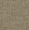 LS61117