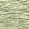 LS60404