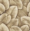 LS60306