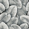 LS60300