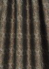 WEB-BROWN