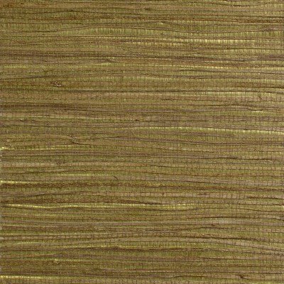 WP21503
