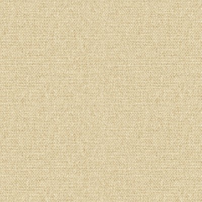TH53704